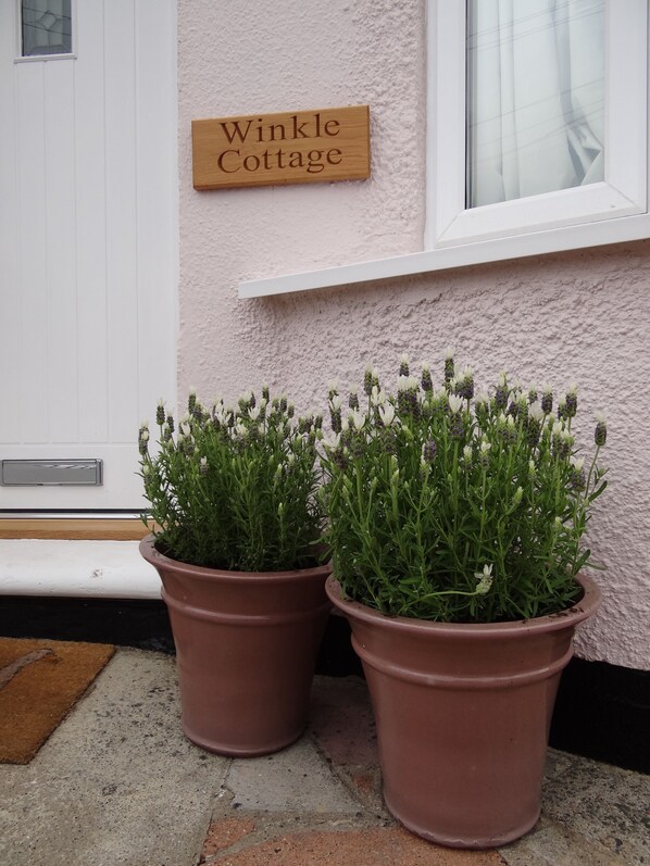 Une enseigne indiquant « Winkle Cottage » est placée au-dessus d’une porte, et deux plantes en pot se trouvent devant.