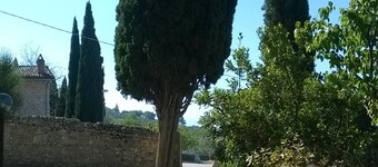 Assisi - Casetta Orsola immersed in the green hills. Special prices