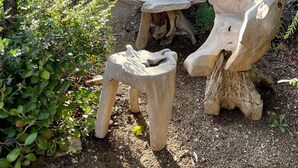 A rustic outdoor seating area with a wooden table and chairs, surrounded by greenery and a stone wall. - Gorgeous sea view, heated pool, jacuzzi, sauna, close to the beach. (Sainte-Maxime)