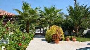 Un sendero conduce a una piscina rodeada de abundante vegetación y plantas en macetas.