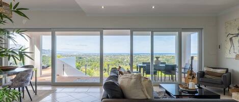 TV connectée, cheminée, lecteur de DVD, livres