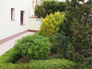 المنطقة المحيطة بالمنشأة