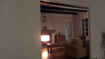 Smart TV, lareira, DVD player, livros