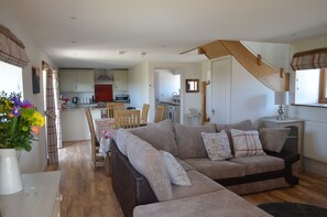 TV, lareira, DVD player, livros