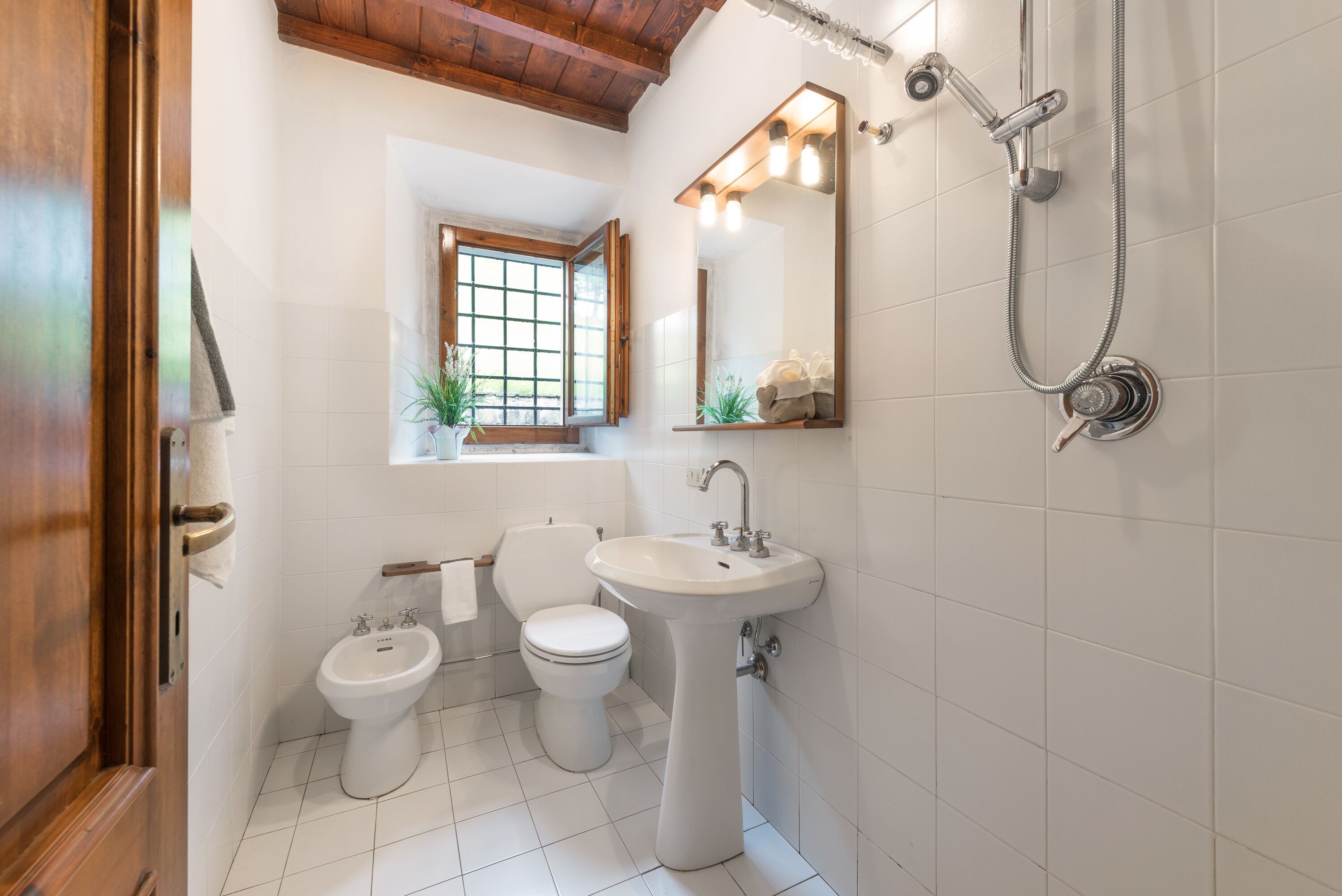 Shower, hair dryer, bidet, towels