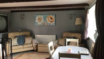 Smart TV, fireplace, DVD player, books