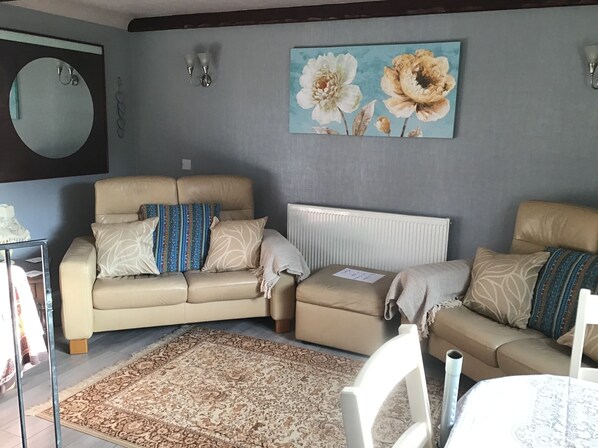 Smart TV, fireplace, DVD player, books