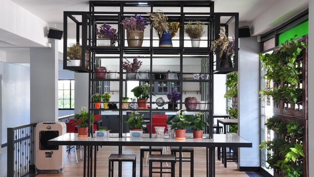 A modern kitchen with a central island, black shelving unit with plants, and a view of the city. - C Room (Chomchan) at Airport (Chiang Mai)