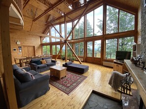 Smart TV, fireplace, DVD player, books