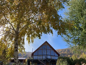 Exterior - Spectacular ski chalet by the Bran Castle (Predelut)