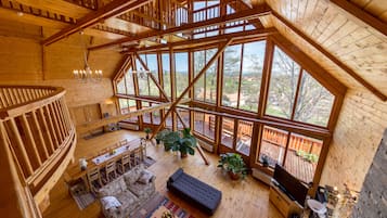 TV connectée, cheminée, lecteur de DVD, livres