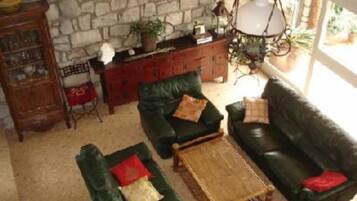 Télévision, cheminée, table de tennis de table, livres