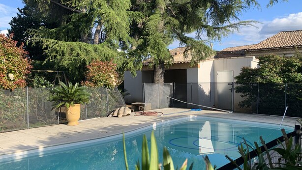 Una piscina rodeada por un jardín vallado con árboles y una casa al fondo.