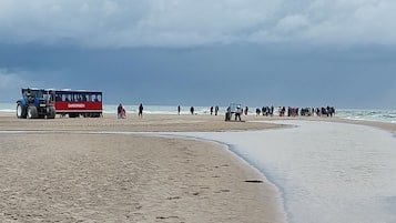 På stranden