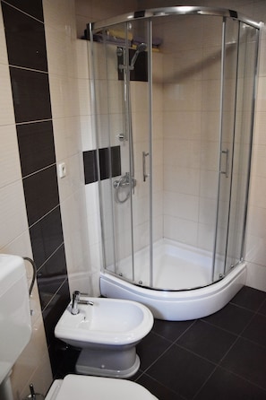 Shower, hair dryer, bidet, towels