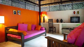 Smart TV, DVD player, books, music library