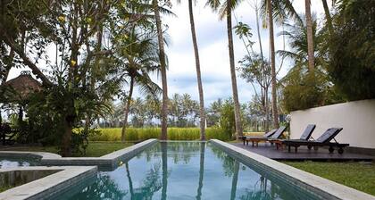 Chai T House by the rice fields
