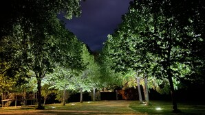 Une scène nocturne d’un parc avec des arbres et un sentier.