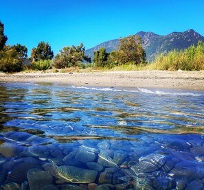 Playa en los alrededores