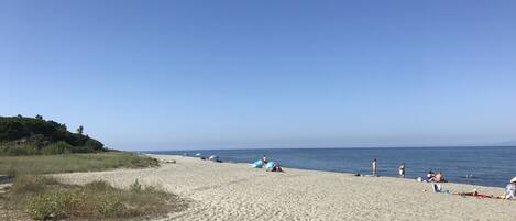 Playa en los alrededores