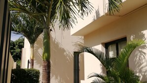 A courtyard with palm trees, a small bush, and a building with a window and door. - CHARMING VILLA WITH SWIMMING POOL NEAR THE BEACH (Albion)