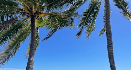 Beautifully equipped bungalow - 3 bdrms air-conditioned - kayak - Superb beach 40m from private servitude