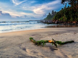 On the beach - Paradise Cove- Beach Front Villa with Infinity Pool (Tangalle)