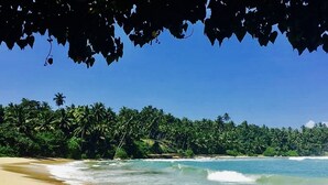 Una playa con agua azul cristalina, orilla arenosa y una hilera de palmeras al fondo.