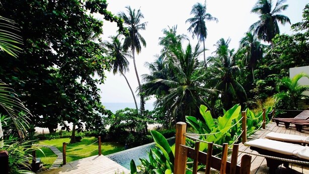 Una terraza de madera con sillones de descanso y una pequeña piscina, rodeada de exuberante vegetación tropical y palmeras.