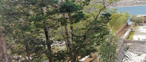 施設の敷地