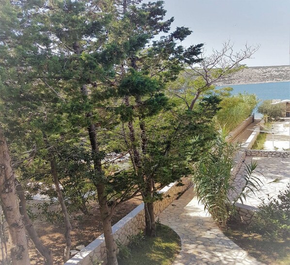 A stone pathway leading to a body of water, surrounded by trees and a stone wall.