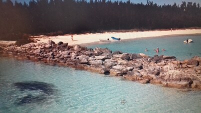 14ft Centre consul boat and car included Waterfront property with pool.