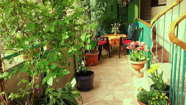 A sunlit patio with potted plants, a table with chairs, and a staircase. - Sea house Casa Passiflora, 10 min. beach, BBQ garden  (Pula)