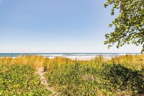 Nära stranden