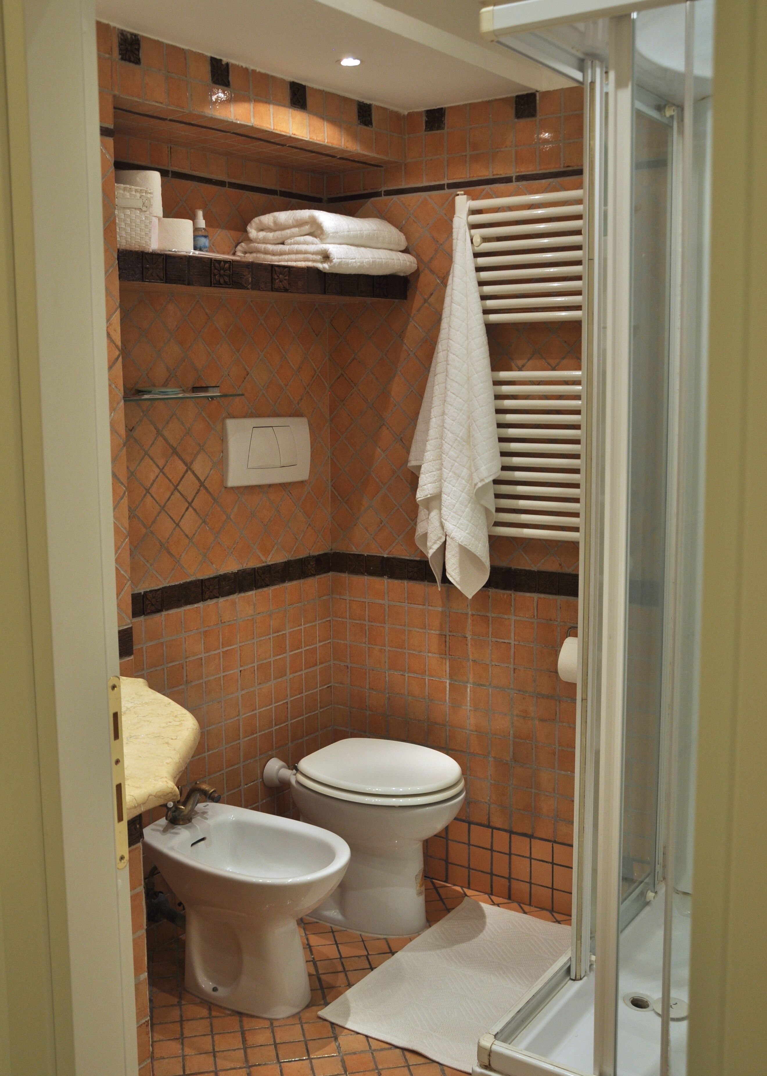 Een douche, een haardroger, een bidet, handdoeken