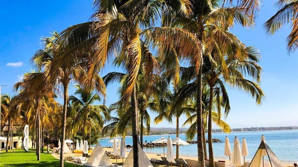 Un resort en la playa con palmeras, sillas de descanso y sombrillas.