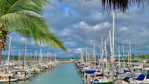 Un puerto deportivo con numerosas embarcaciones amarradas a lo largo de una vía fluvial tranquila, rodeado de palmeras y un cielo nublado.