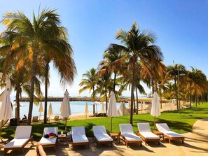 Accommodatie ligt op het strand, ligstoelen