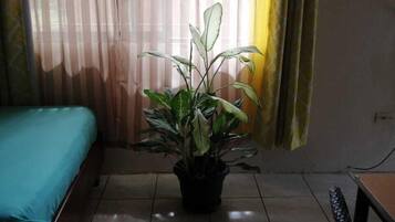 Caja de seguridad en la habitación y tabla de planchar con plancha