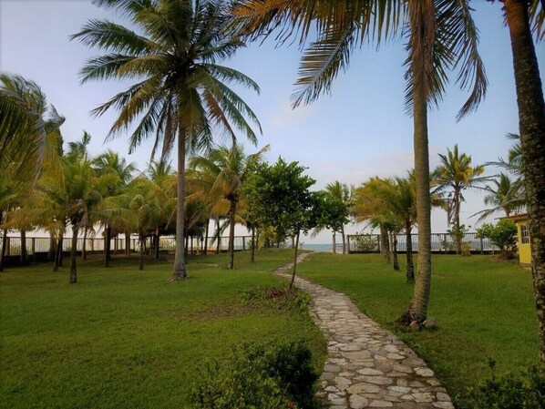 A pathway leading through a well-maintained garden with palm trees and a stone path.