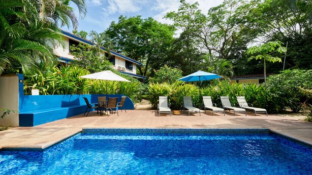 A swimming pool with lounge chairs and umbrellas, surrounded by lush greenery and a building with a blue roof. - Only 350 meters from Tamarindo beach and downtown. In quiet and safe area. 
 (Tamarindo)