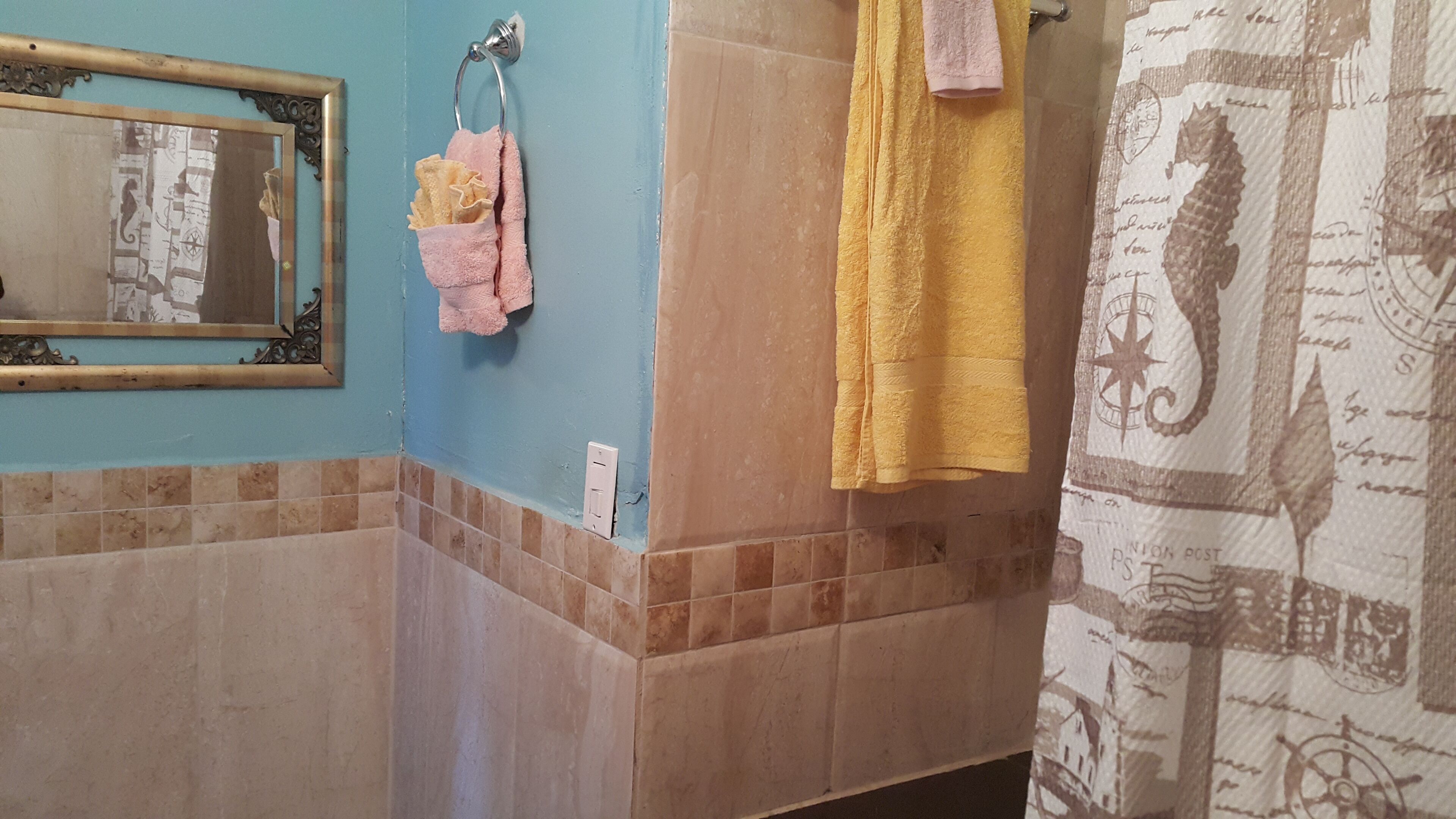 Combined shower/bathtub, towels, soap, shampoo