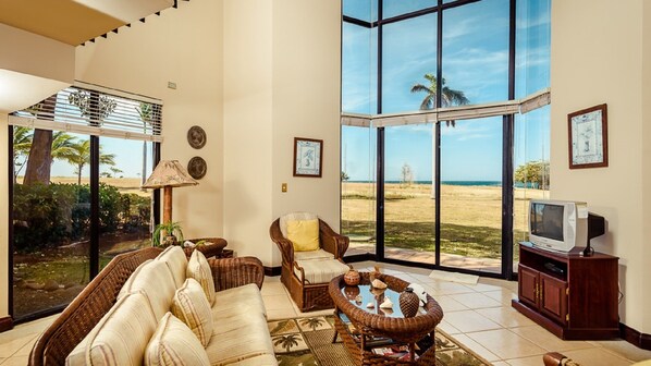 Televisión, reproductor de DVD, libros y estéreo 