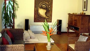 TV, DVD player, books, video library