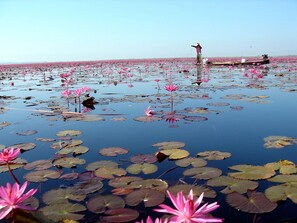 未分類的圖片，第 3 張，共 13 張，按鈕