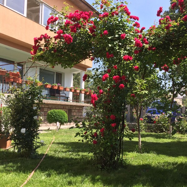 Property grounds - Guest House "Aleksandra" (Sofia)