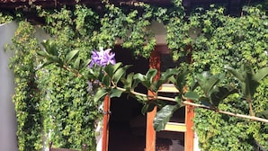 A building with a tiled roof, a wooden door, and a window. - Charming Home, Beautiful Decorated in famous Central Antigua  (Antigua Guatemala)