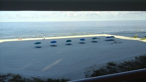 A beach with several blue umbrellas and lounge chairs, a person walking, and a clear view of the ocean. - Beautiful Beachfront Getaway retreat for couples, Private Balcony & Sunsets #202 (Indian Shores)