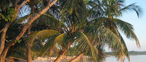 海滩