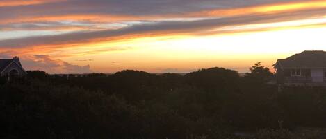 A sunset over a residential area with houses and dense vegetation.